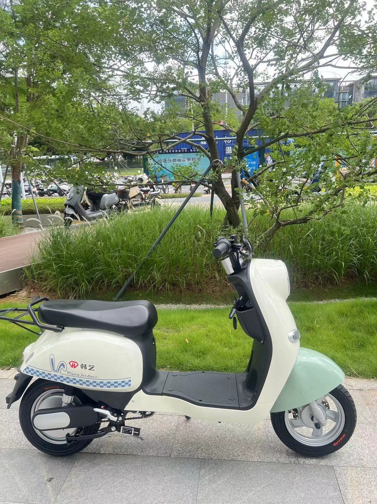 [新车二手价，便宜出]个人闲置，家里人不需要了，来有缘人转让一下。上坡有力，配锂电池48v25a，续航50左右。家用接送小孩跑外卖都行。